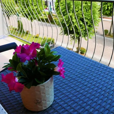 Krystall Vakantiehuis *